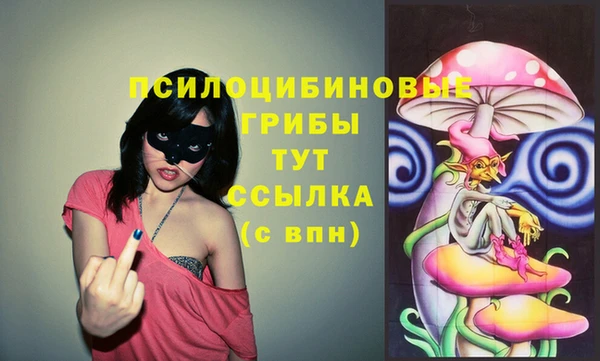 2c-b Пересвет