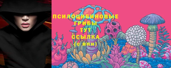 2c-b Пересвет