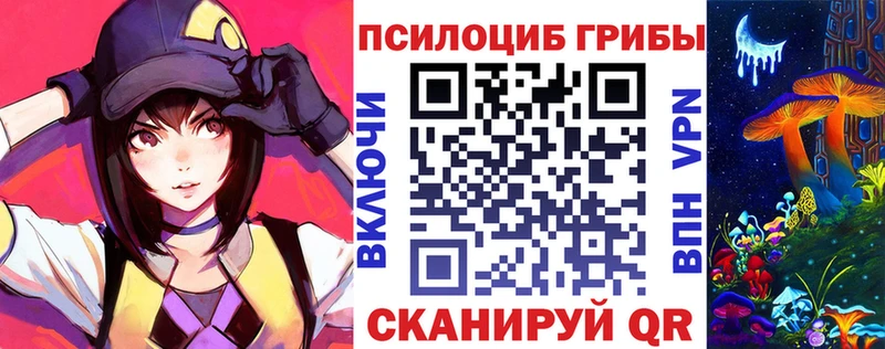 Купить где  Магас  Псилоцибиновые грибы прущие грибы 