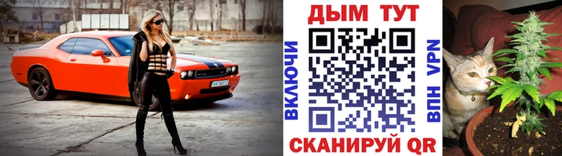 Купить закладки  Магас  Конопля MAZAR 
